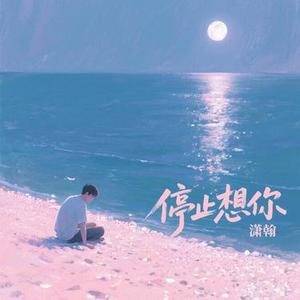 停止想你