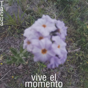 Vive el Momento