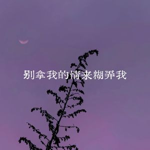 别拿我的情来糊弄我