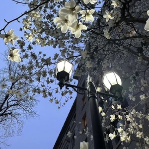 像晴天像雨天（Cover汪苏泷）