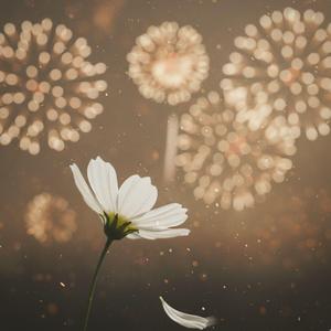 もしもあの日に帰れるのなら