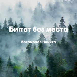 Билет без места