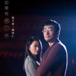 如果有两个你