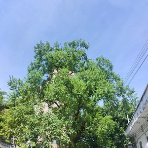 跨年时的轻轻抱