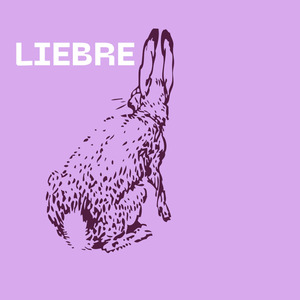 Liebre