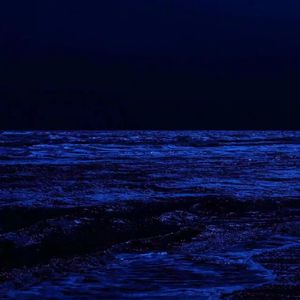 对白书---墨鸦白凤同人曲