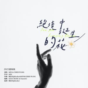 绝境中诞生的花