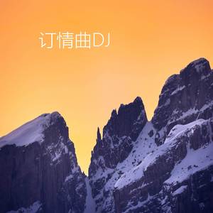 订情曲(DJ)