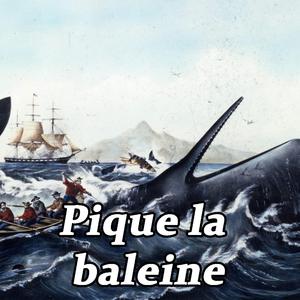 Pique la baleine
