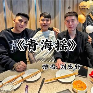 张诗尧-青海摇(张诗尧战歌)（刘志轩 remix）