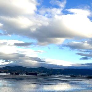 Again（再一次）(2)