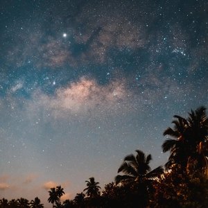 最后的莫西干人(泪痕之外)