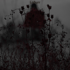Lóðurr (feat. Streetboom)