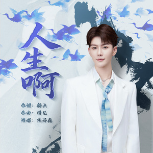 人生啊
