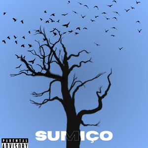Sumiço