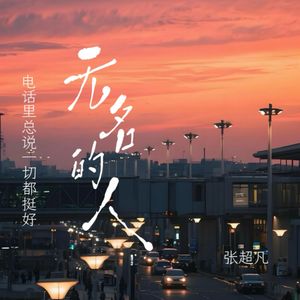 电话里总说一切都挺好(无名的人)