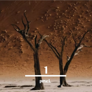 思念似困兽犹斗