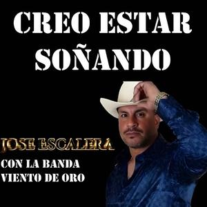 Creo Estar Soñando (feat. Banda Viento de Oro)