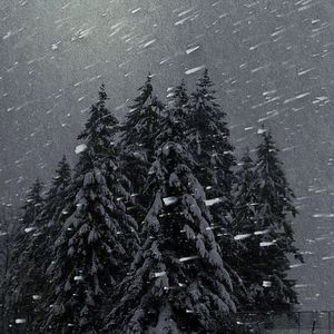 一千零一次告白