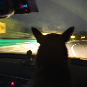 修改音质-旧普上的音AIGC2.mp3