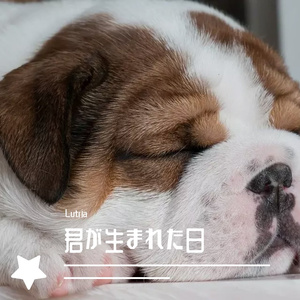 君が生まれた日