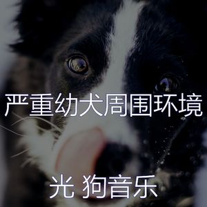 微妙的训练犬心情