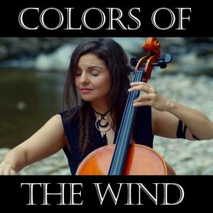 Colors of the Wind (Instrumental)