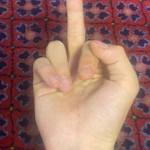 撒子？（Prod.Averatec × Craybeats）