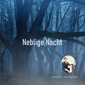 Neblige Nacht