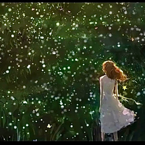 静寂の降る夜に