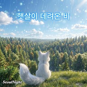 햇살이 데려온 비
