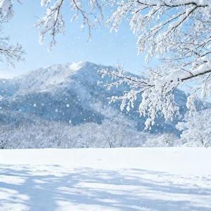 去看拉萨河 (Cover 小钢刀)