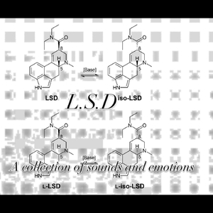 Brain Soup