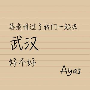 等疫情过了我们一起去武汉好不好 伴奏