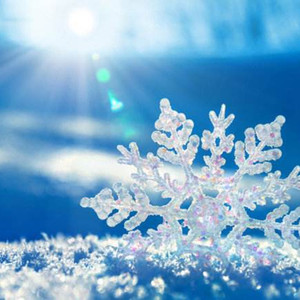 雪花飘落的瞬间