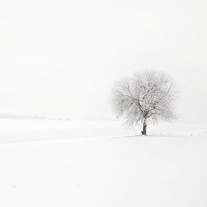 山有木兮（翻自 伦桑）