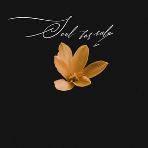 Soul for Sale