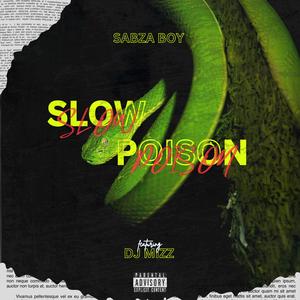 Slow Poison (feat. Dj mizz)