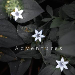 Adventures
