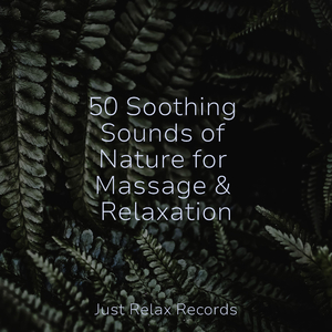 Galactic Guardianship