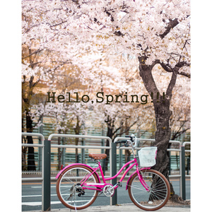 봄날, 벚꽃 그리고 너