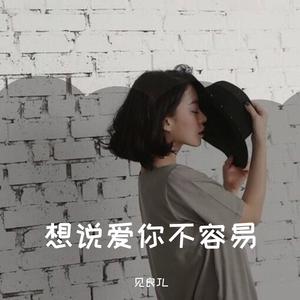 想说爱你不容易