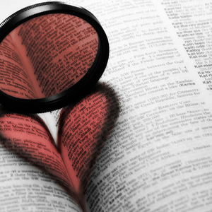 你 的 名 字 真 好 听