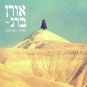 כל מה שרציתי