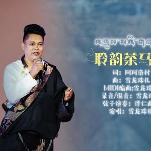 雪龙珠扎《聆韵茶马路-快板》