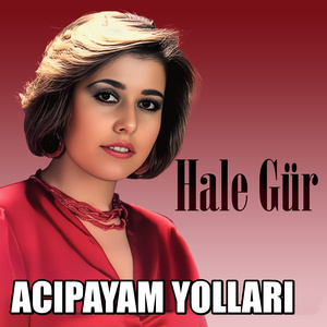 ACIPAYAM YOLLARI