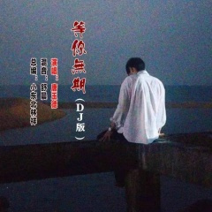 等你无期(DJ版)