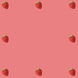 the last day（翻自 夏瀚宇/李汶翰/周士原/连淮伟/林陌/何昶希/陈宥维/陈思键/冯俊杰/姚明明/胡春杨）