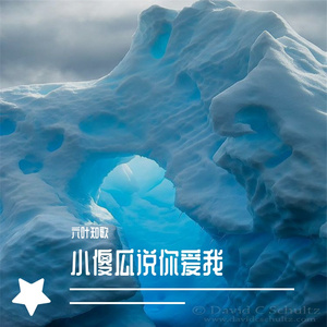 小傻瓜说你爱我