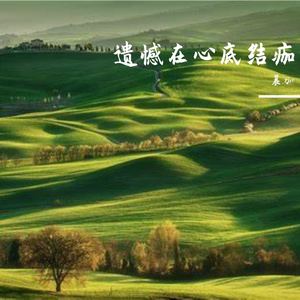 遗憾是过去的尘埃